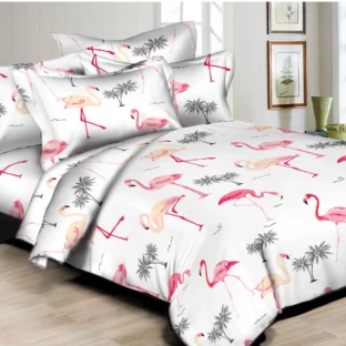 Florida Flamingos