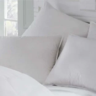 Intera Down & Feather Pillow
